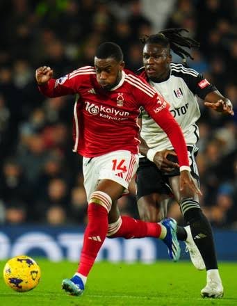 images - 2025-03-19T063321.847